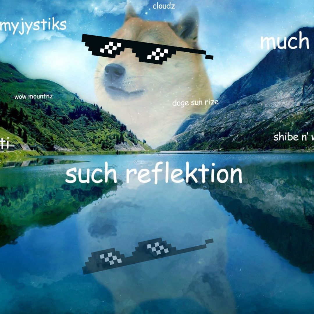 let me woof at my own echo!

i $DIG that!