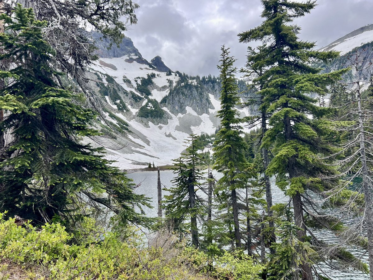 Dede Dankelson tweet media