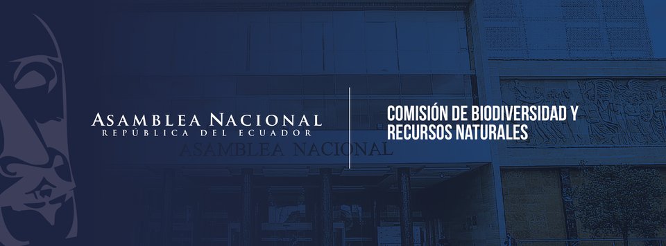 Asamblea Nacional (@asambleaecuador) on Twitter photo #AsambleaEc2025 | <a href="/BiodiversidadAN/">Comisión de la Biodiversidad y Recursos Naturales</a> instala la sesión N°007, en modalidad virtual.
Sigue su desarrollo en vivo ▶️ facebook.com/share/v/16YVq6… #AsambleaEc2025 | <a href="/BiodiversidadAN/">Comisión de la Biodiversidad y Recursos Naturales</a> instala la sesión N°007, en modalidad virtual.
Sigue su desarrollo en vivo ▶️ facebook.com/share/v/16YVq6…