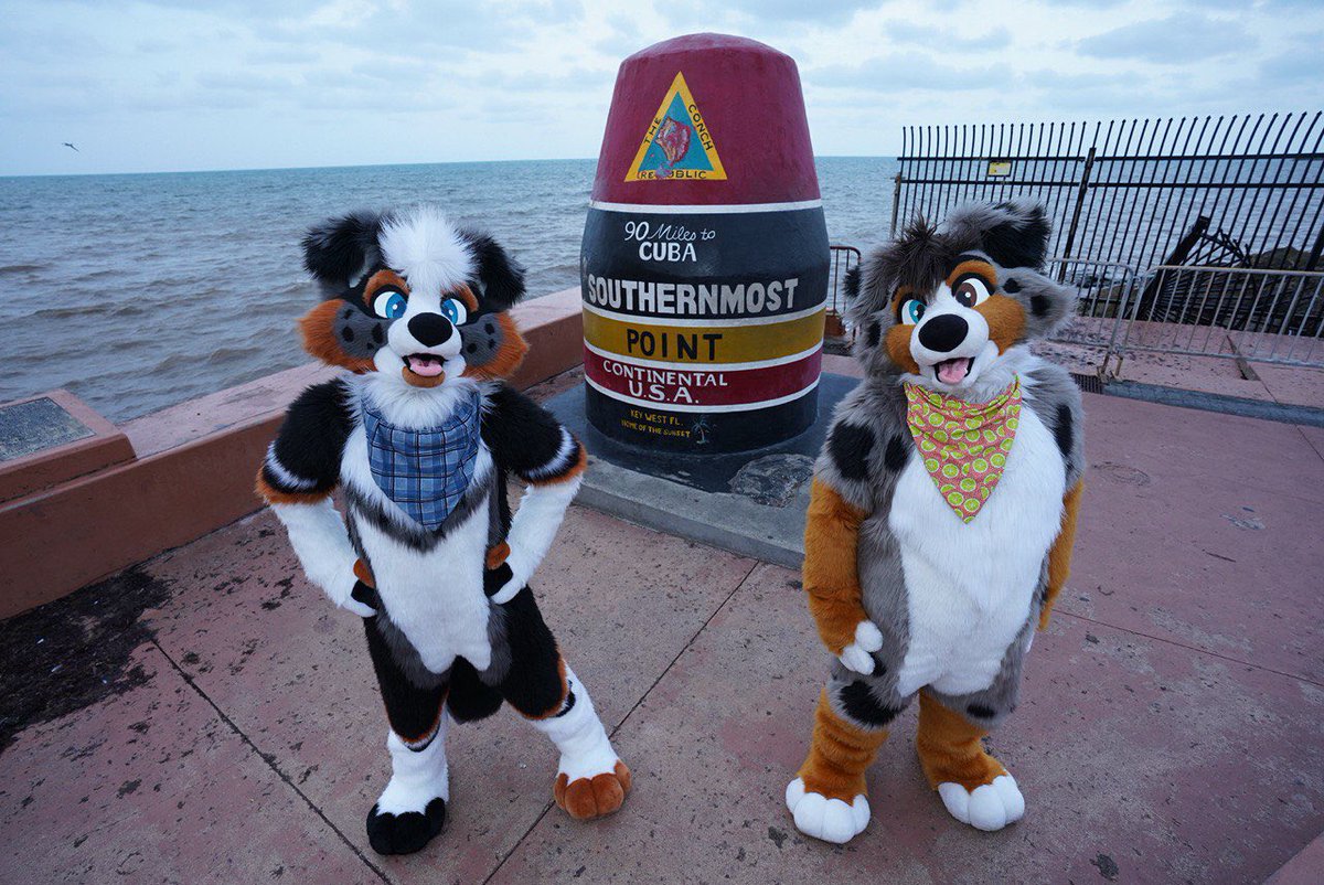 You have no idea how badly I’ve wanted this photo with <a href="/BriarCollie/">Briar 🐑</a> over the years. 

Thank you <a href="/PhotoVarmint/">PHOTOVARMINT</a> for making it happen (and waking up early)