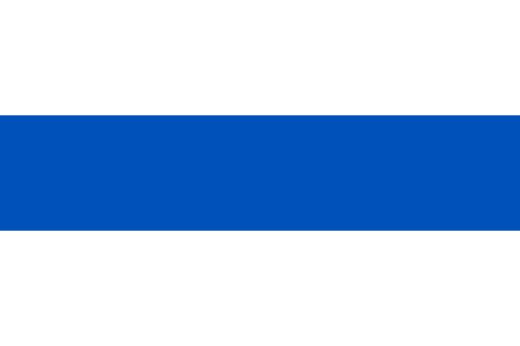 The flag the russians use to express opposition to their government and it's actions in ukraine should have been there as well.