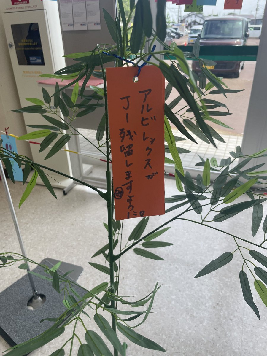 七夕の飾りを書き、京都にむけて、出発しました。応援頑張って、選手に届きますように。
#新潟サポ京都遠征