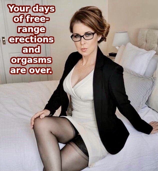 No boy should be free-range.

Ladies, own your toy.

Boys, find a Mistress.