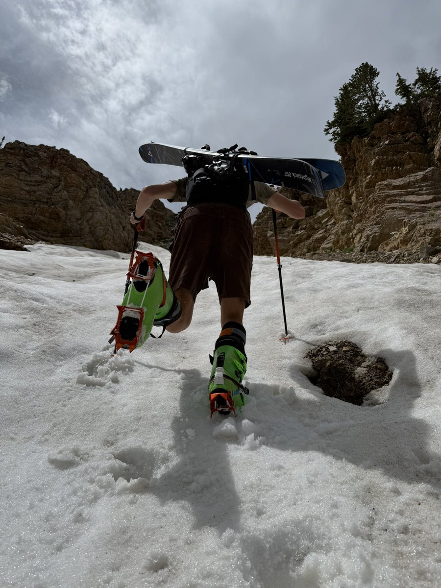 mjasay's tweet image. I don't always ski in July (Narrator: he does), but when I do I ski Baldy Main Chute at @AltaSkiArea and bring a neighbor. 🥳