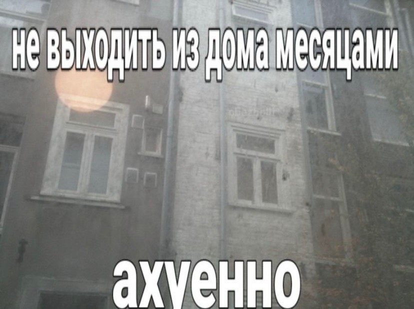 🐸Великое Колено🐸 (@great_knee) on Twitter photo 