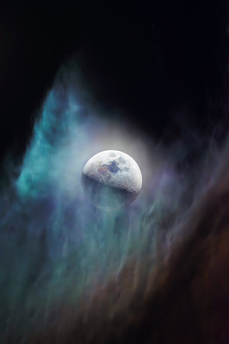 Betul Turksoy tweet media