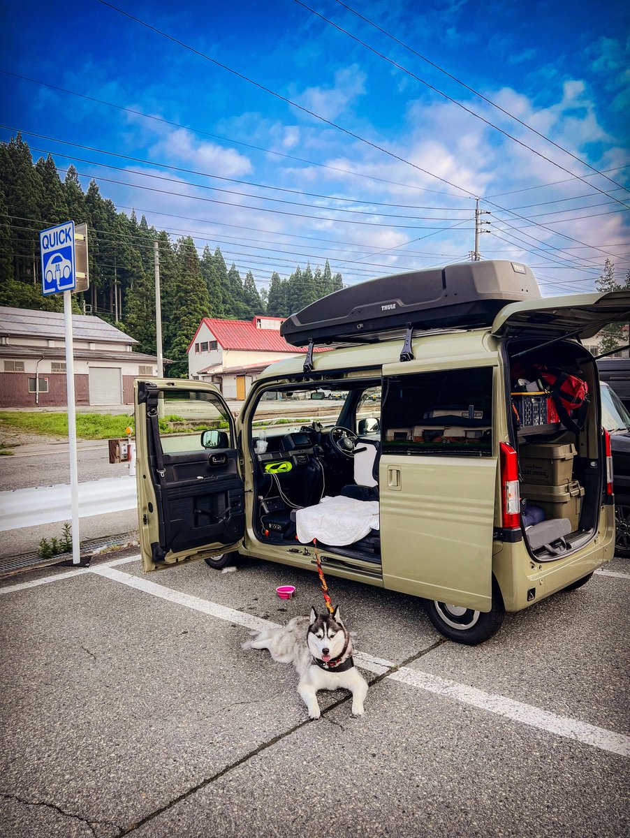 おはようございます。
今朝のちょびです。
#シベリアンハスキー