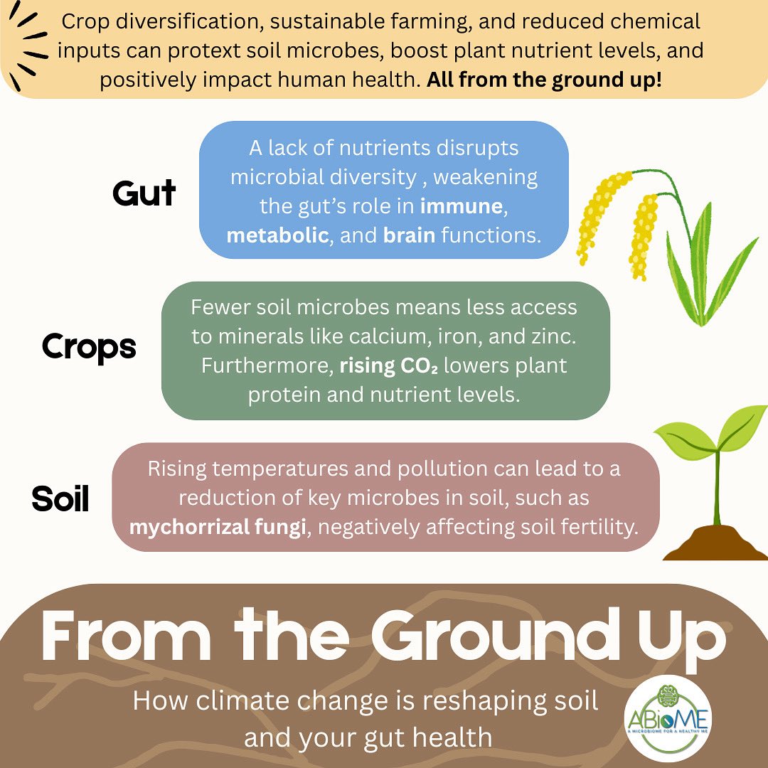 ABioME (@a_biome) on Twitter photo What’s happening beneath us is reshaping our health. 🌎🌱 What’s happening beneath us is reshaping our health. 🌎🌱