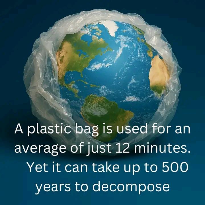 NgelekaGautier's tweet photo. #PlasticFree #PlasticBagFreeDay #SayNoToPlastic #BreakFreeFromPlastic #DitchTheBag #BringYourOwnBag #RefuseSingleUse #SustainableLiving #EcoFriendlyChoices #PlanetOverPlastic https://t.co/ExU6Olrvti