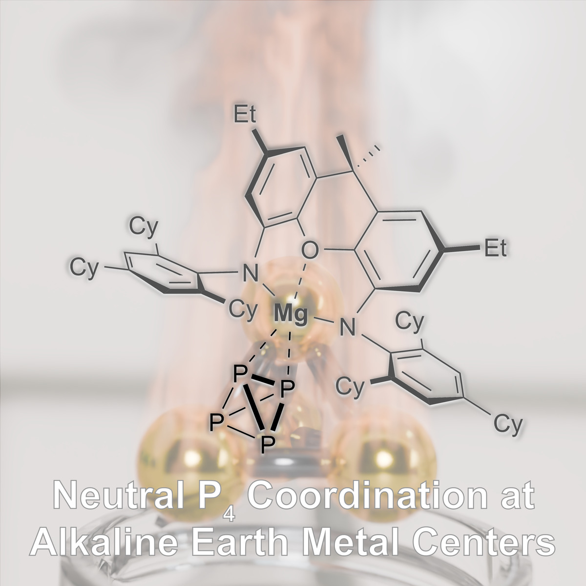 Jones_Research's tweet image. Matt (@EvansInorganic) and co&apos;s work on the first main group metal-P4 complexes, redn of P4 to [P4]2- with a Mg-N2 complex, and hydrolysis of [P4]2- to PH3, has been accepted @Chem_CP. tinyurl.com/bdewbze2 Free access: tinyurl.com/23vbtuju
#ozchem @Monash_Science