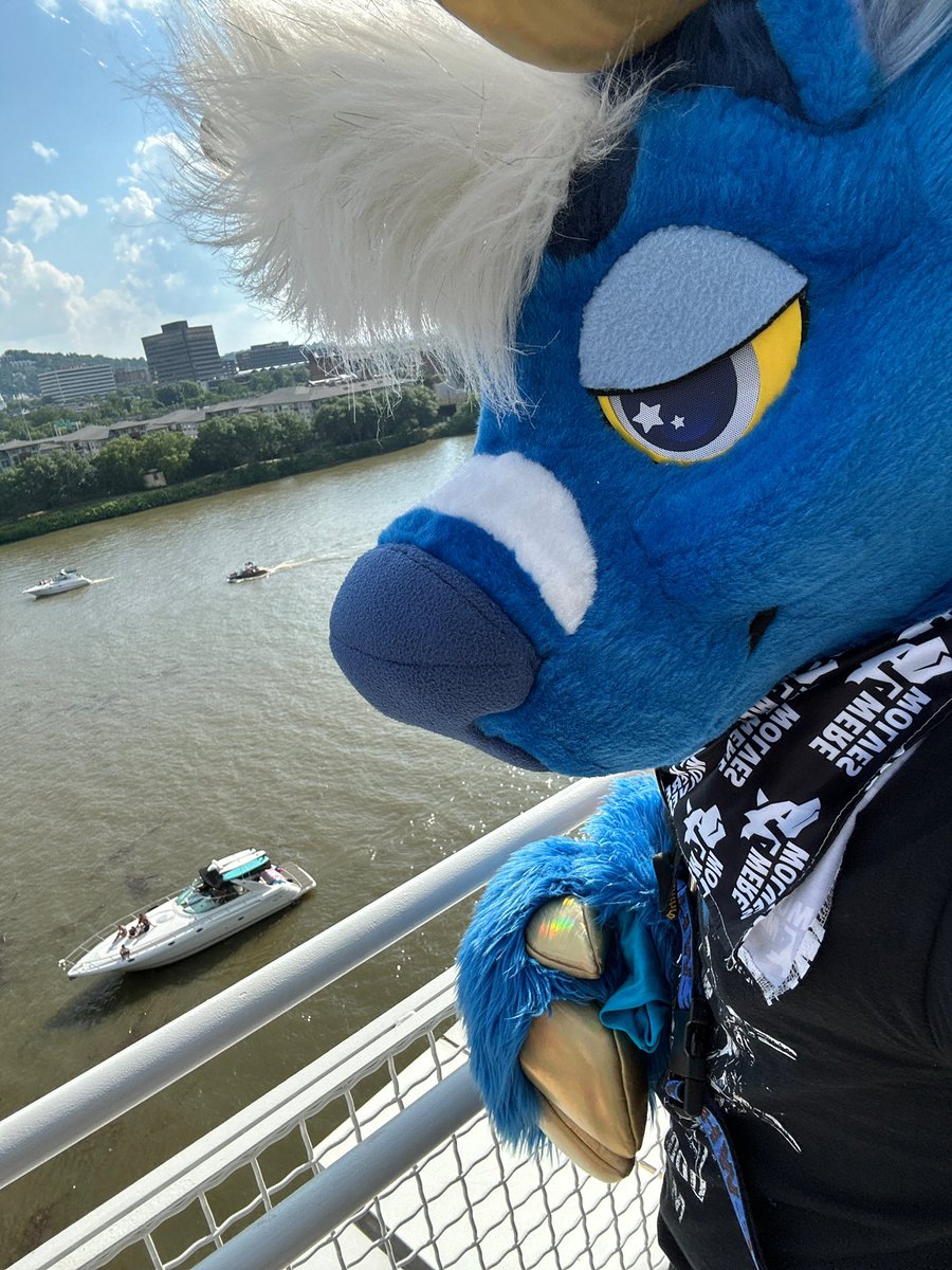 Hello AC! 

#anthrocon2025