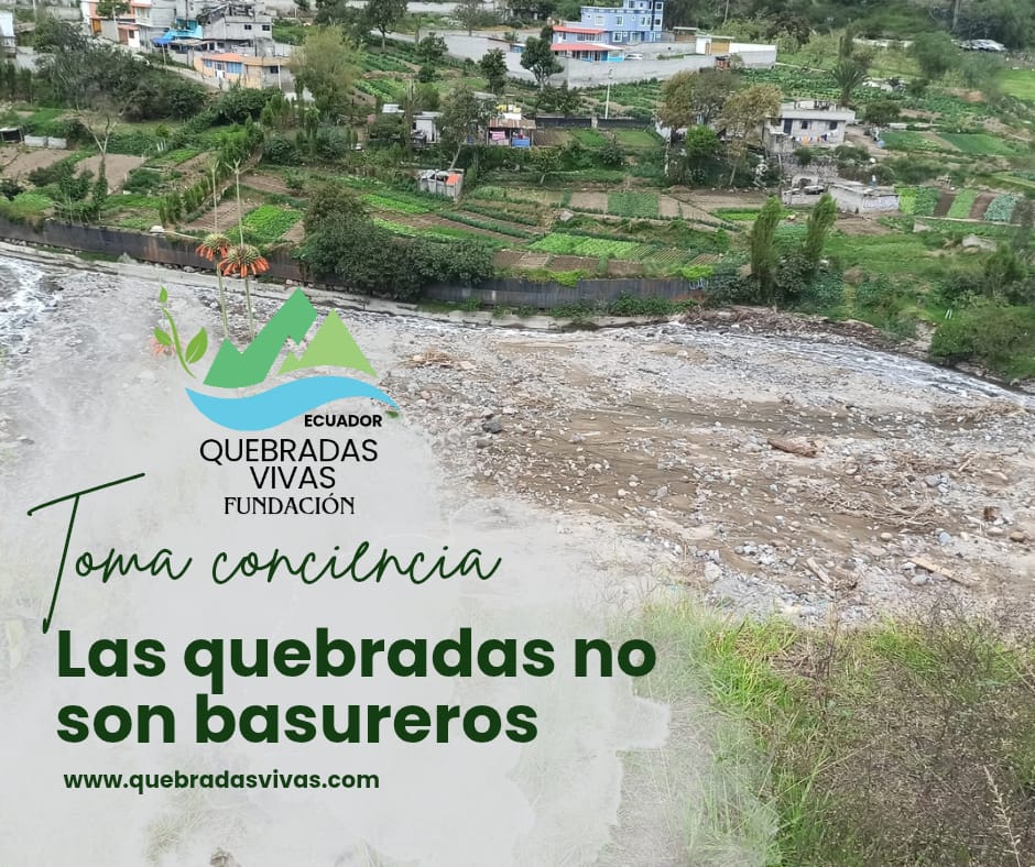 #concienciaambiental Las quebradas son espacios naturales que deben ser cuidados por todos. Conoce más de nuestros proyectos y unete a la protección de las quebradas. 
🌱Más info en quebradasvivas.com