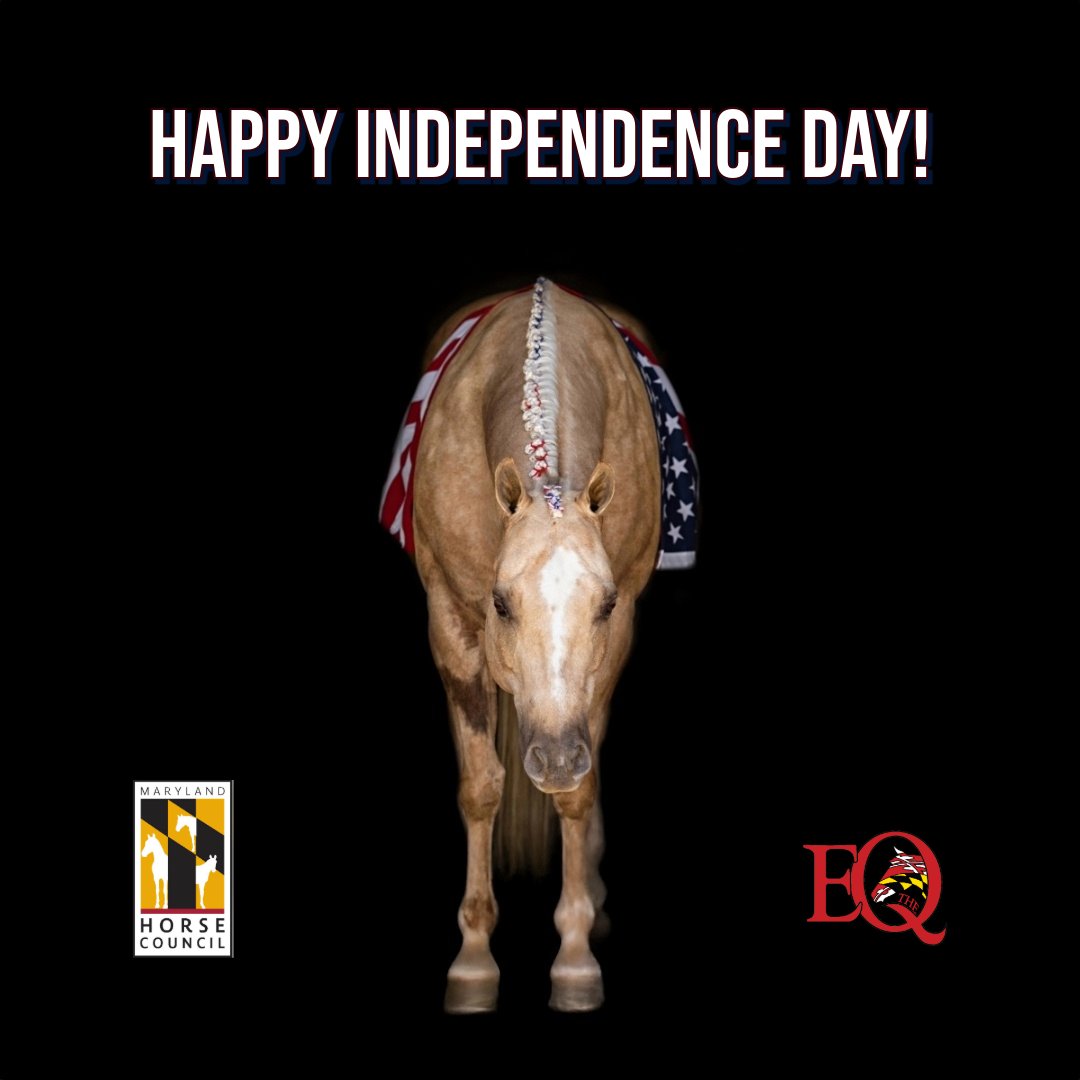 The Equiery (@equiery) on Twitter photo 