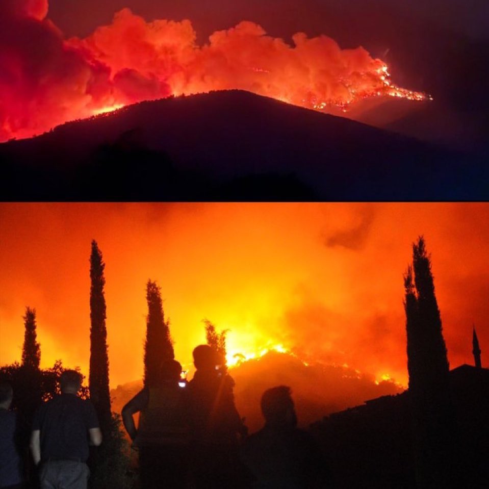 this is a global call from izmir which one of the biggest cities in türkiye street animals citizens and residential areas were destroyed by fire make our voices heard 

#GlobalCall