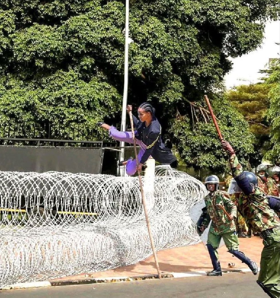 Bodanomics tweet media