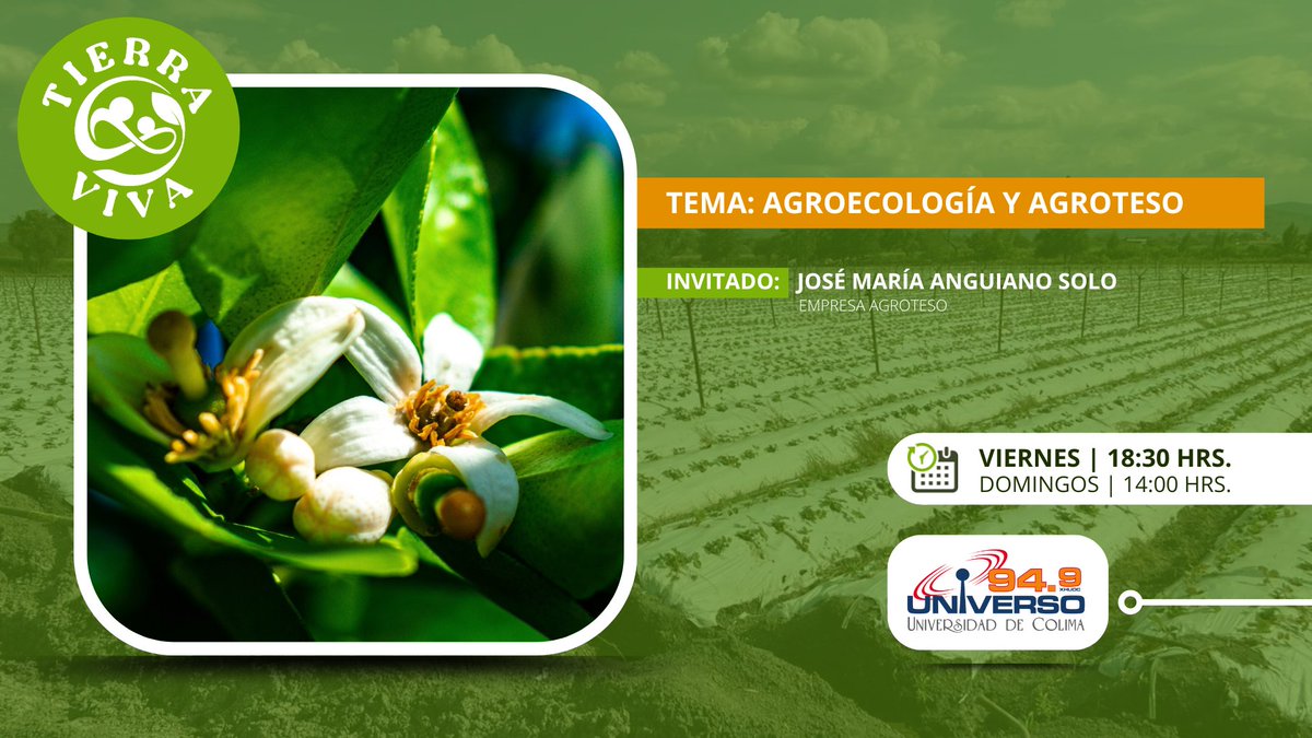 Agroecología y AGROTESO, ¡en #TierraViva!

Descubre cómo AGROTESO fomenta la agroecología y la agricultura orgánica; los insumos que desarrolla, y las ecotecnologías que implementa.

Sintoniza #Universo949 este viernes 18 de julio a las 18:30 horas ➡️ universo949.mx