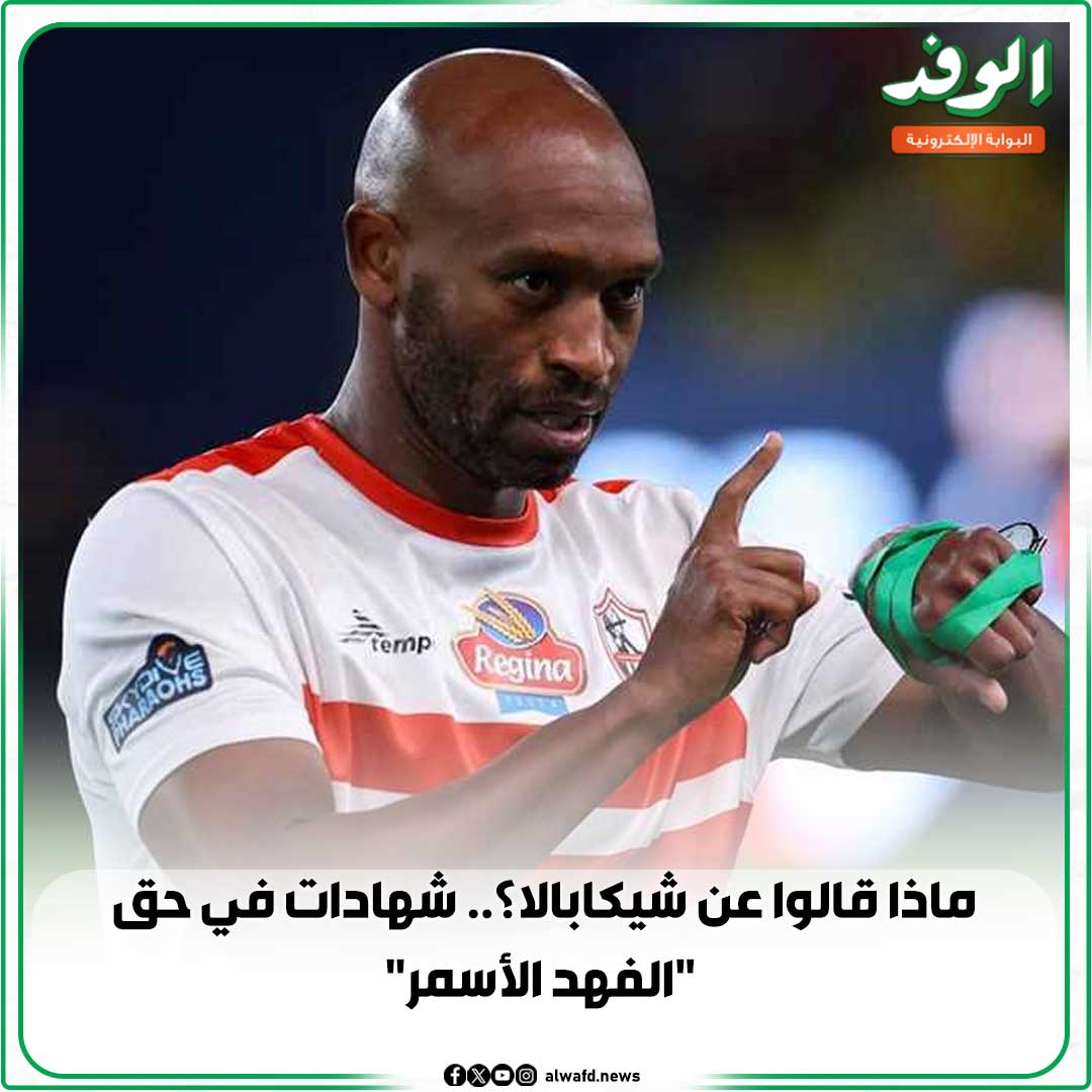بوابة الوفد| ماذا قالوا عن شيكابالا؟.. شهادات في حق "الفهد الأسمر" 