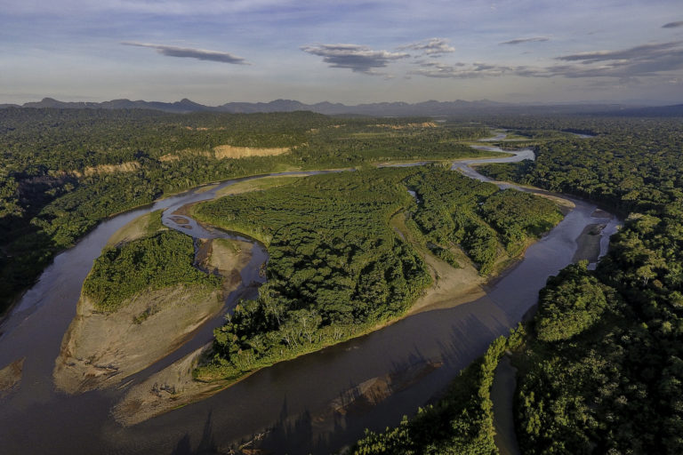🍃 #VocesdelaPanamazonía || Escucha las voces de la región más diversa del planeta, descubre los acontecimientos más relevantes de nuestro bioma amazónico.
Esta ocasión la producción es gracias a: ALER

Escucha las voces aquí: aler.org/red_panamazoni…