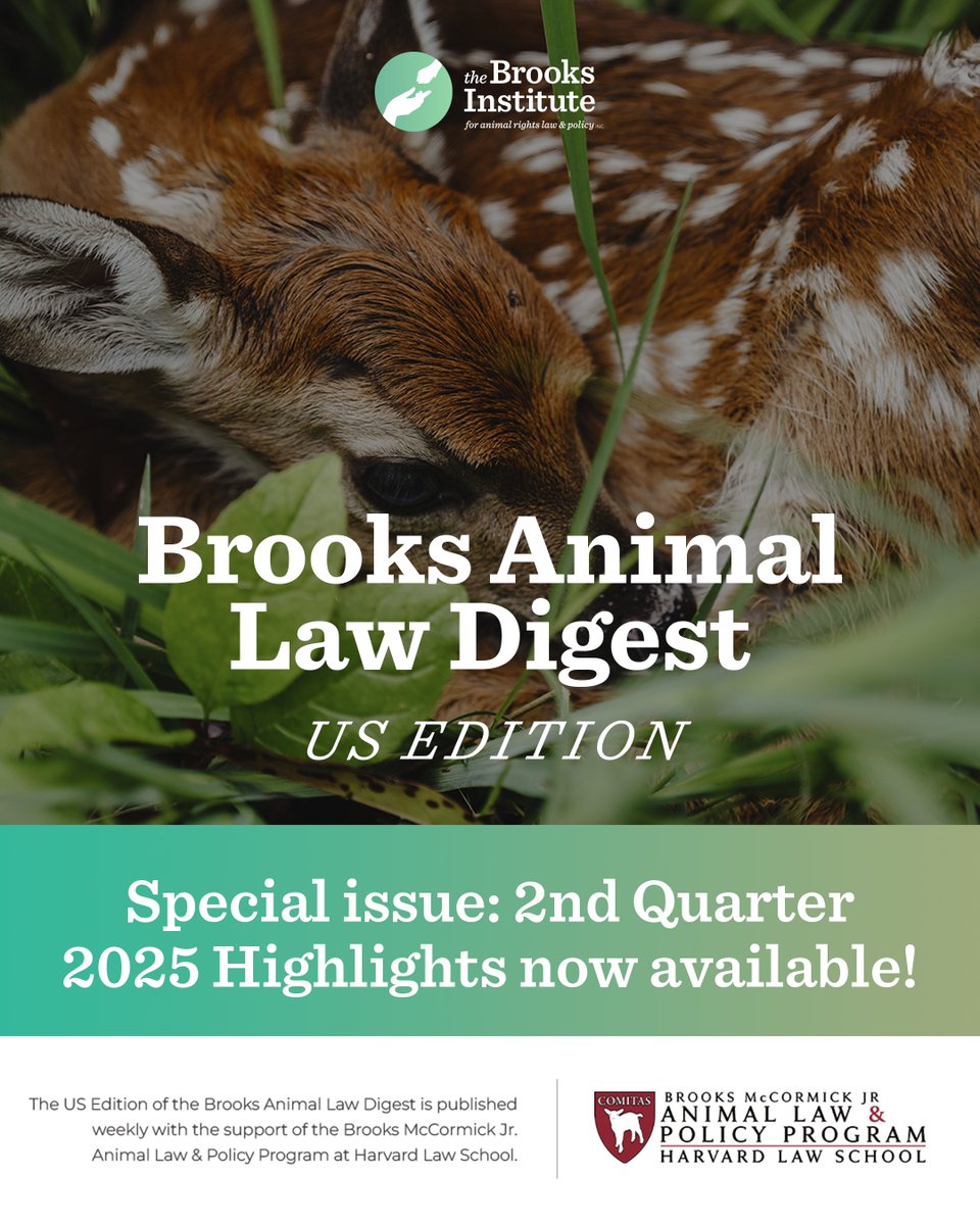 The Brooks Institute tweet media