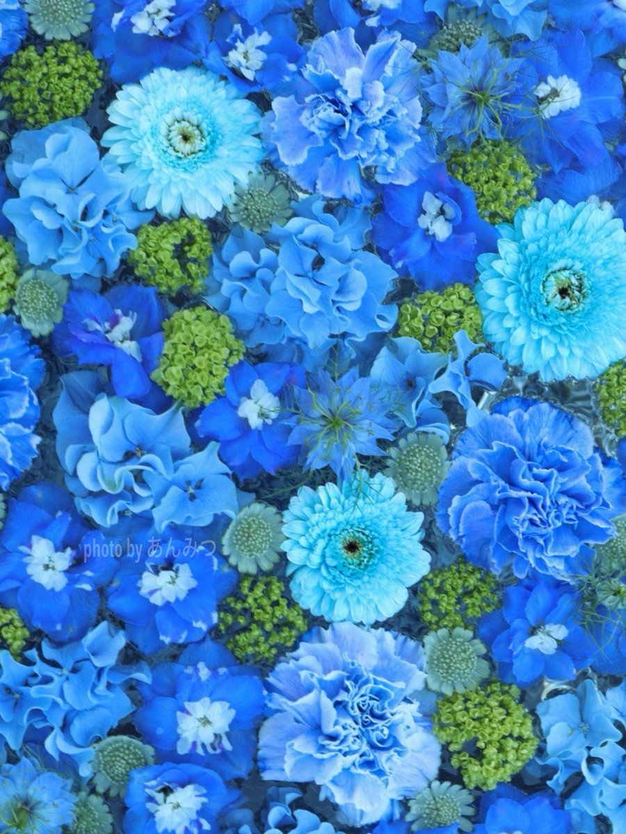 蒼色ﾊﾞﾘｴｰｼｮﾝを詰め込んで𓂃𓂂ꕤ*.ﾟ