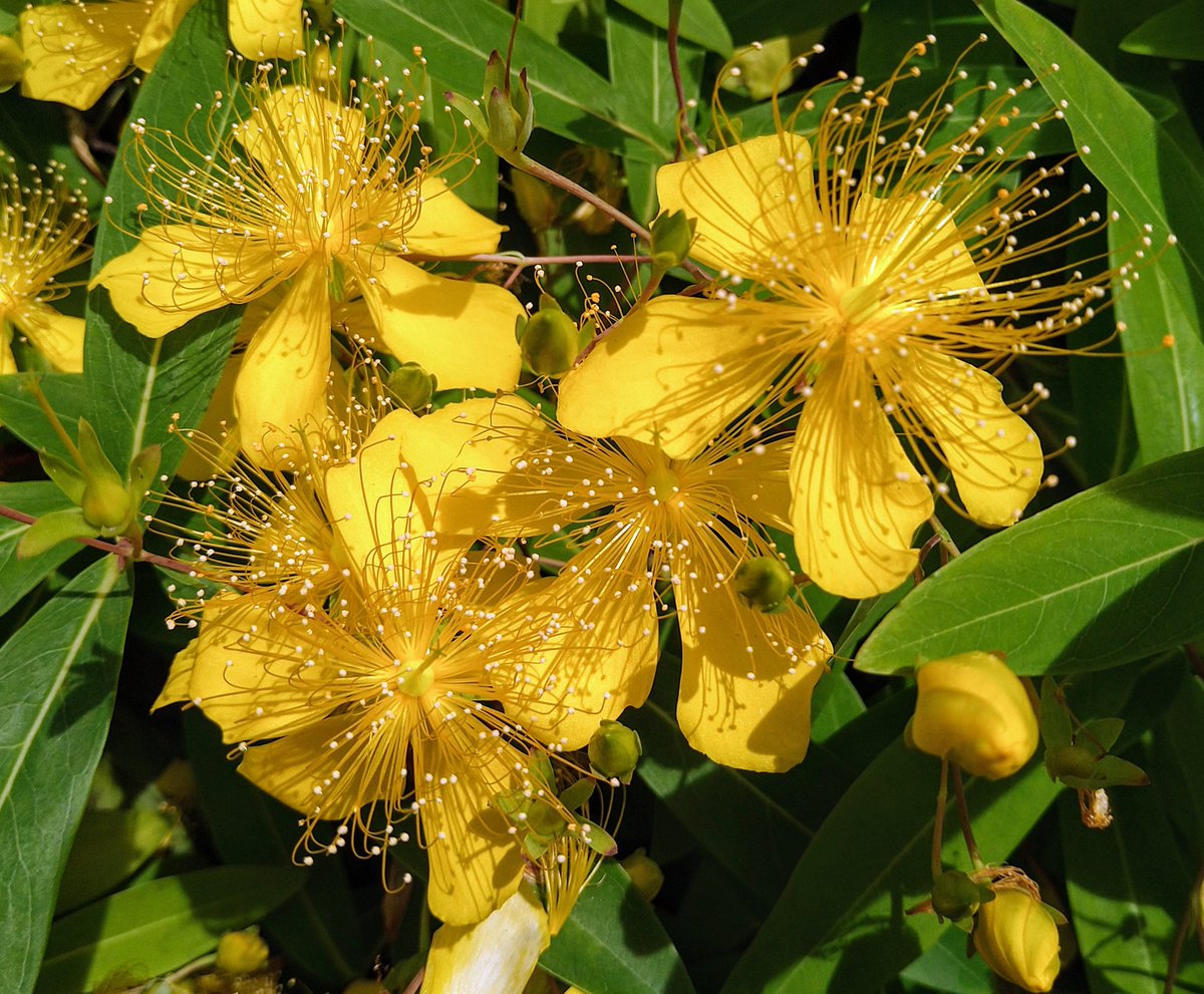 皆さん♪おはようございます( ´∀｀)

今朝の東京は♪『真夏日晴天(⌒▽⌒)』です( ´∀｀)

それではスタートします(*^▽^*)♪