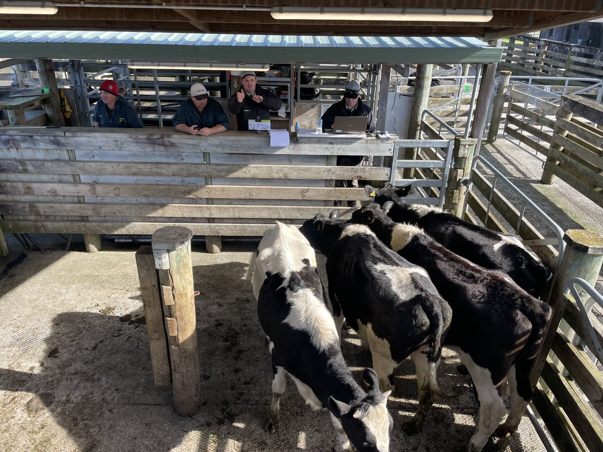 Carrfields tweet media