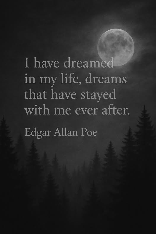 Mistyville run by Michael Scott♋ tweet media