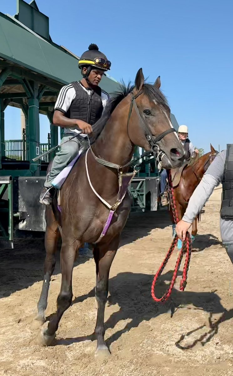 Prairie Meadows tweet media