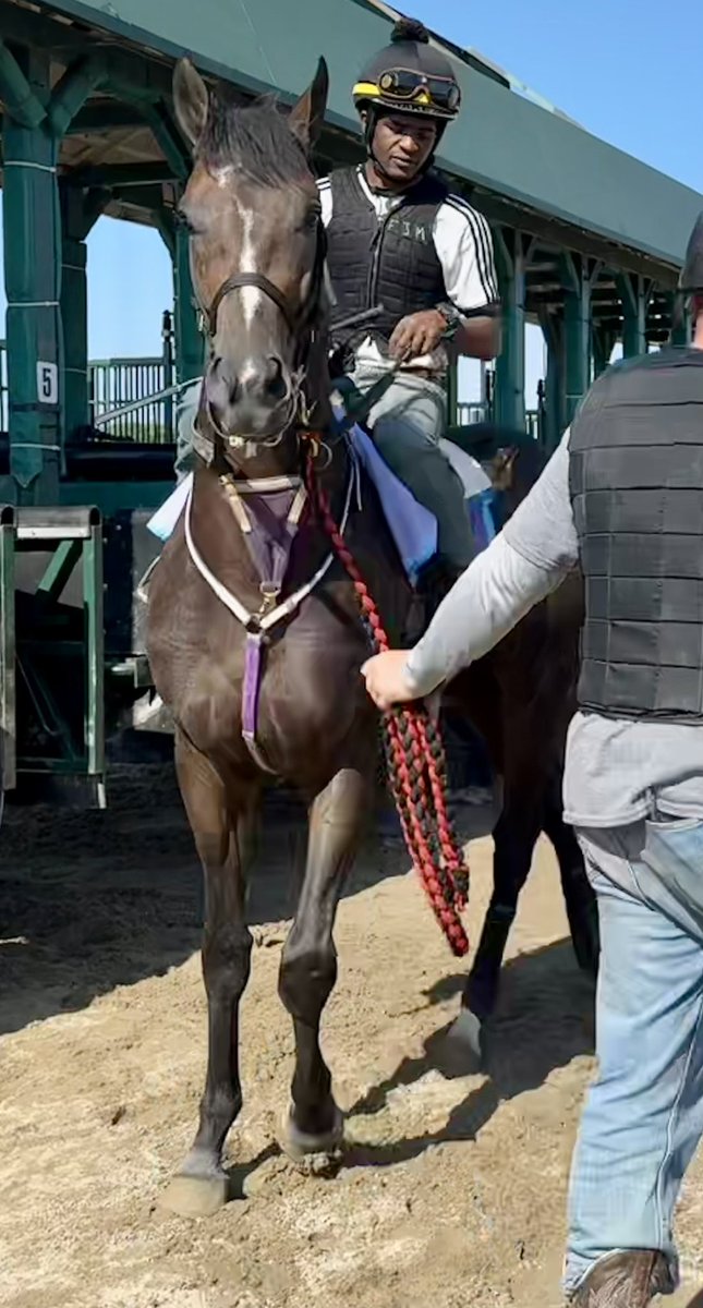 Prairie Meadows tweet media