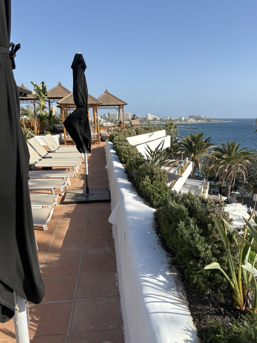 Scott Duncan tweet media