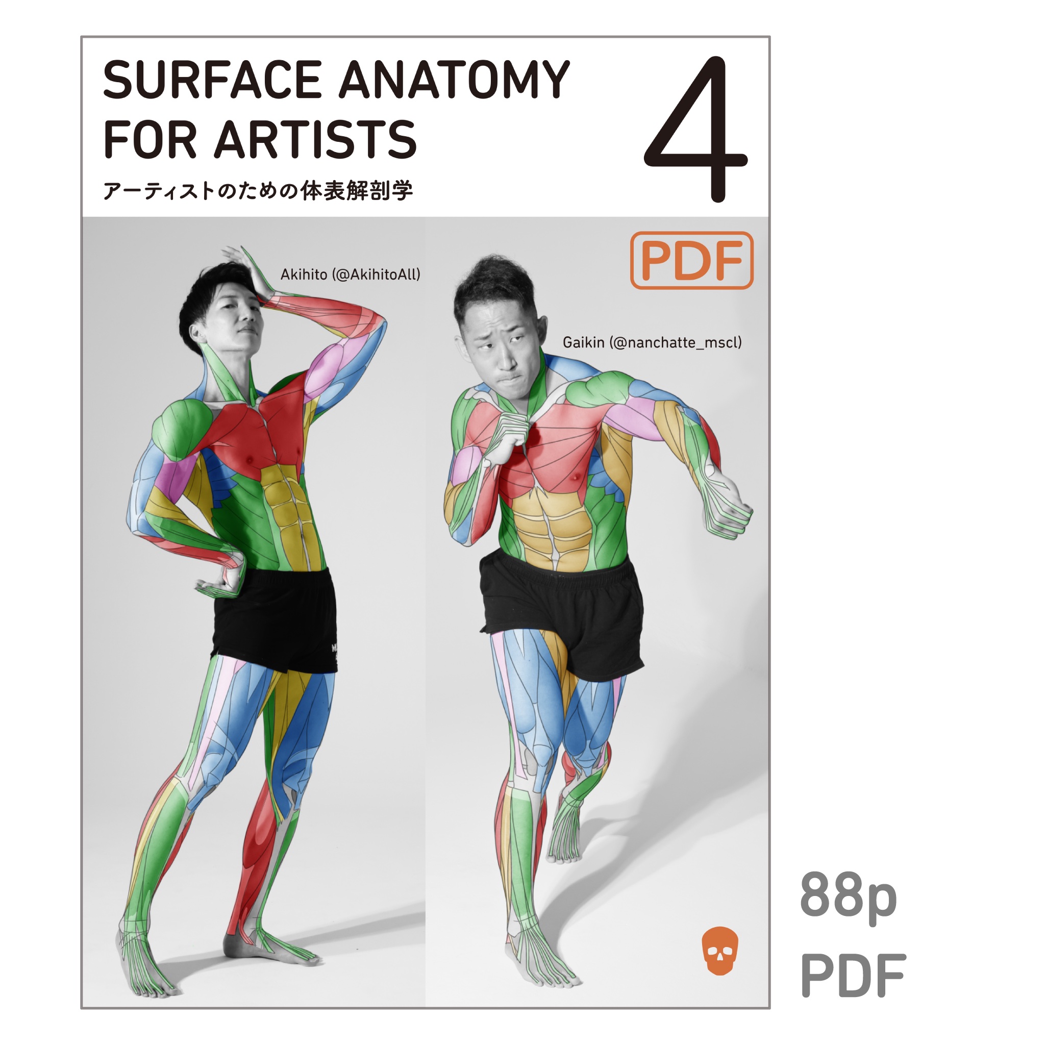 アーティストのための体表解剖学3（PDF） - anatomytutorials