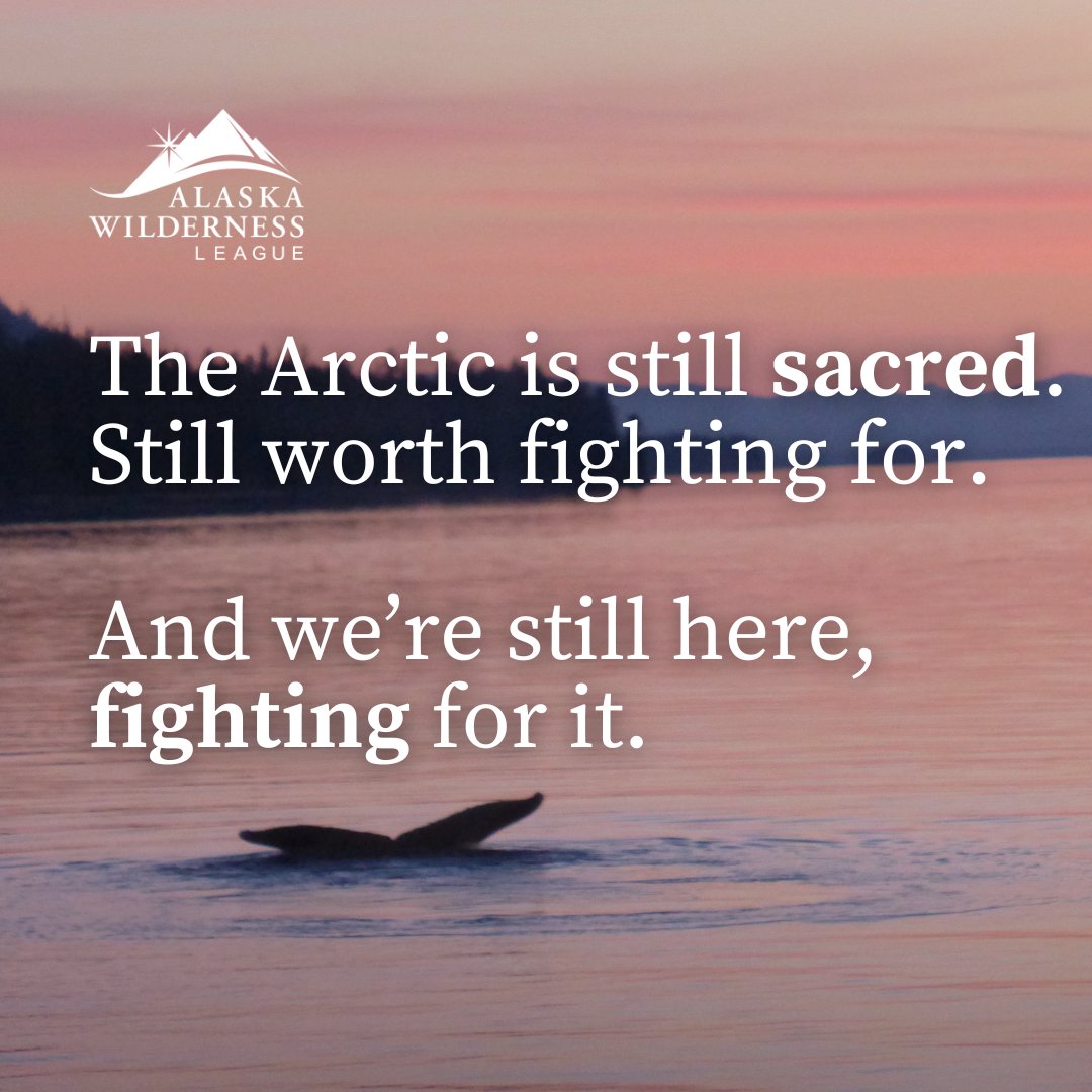 alaskawild's tweet image. The House just passed the budget bill putting the Arctic—and so much more—at risk.

So many will lose so much. This vote hurts.

This isn’t the outcome we fought for. But it’s not the end. We’re grieving, regrouping, and will always keep fighting.

#ProtectTheArctic