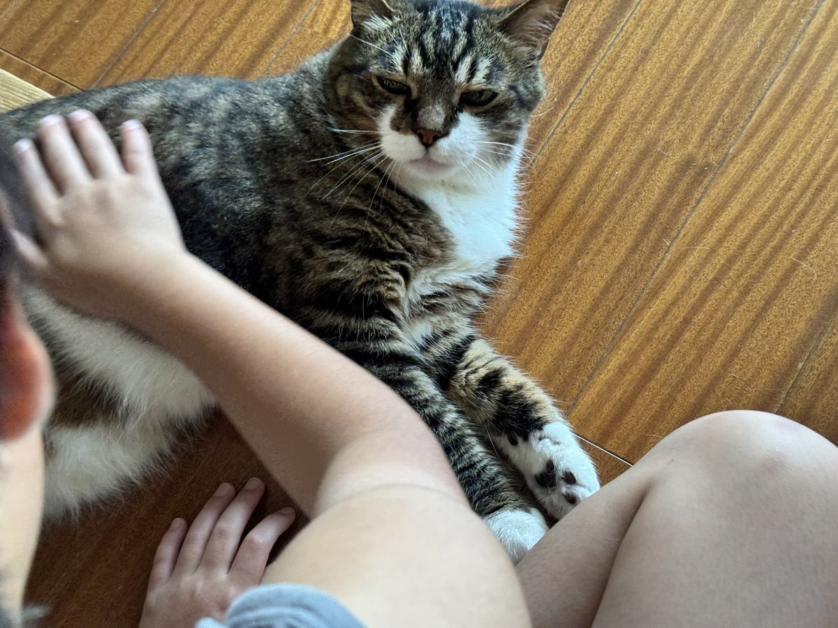 たいたい、撫でるの上手くなったね。
気持ちいいよにゃお！