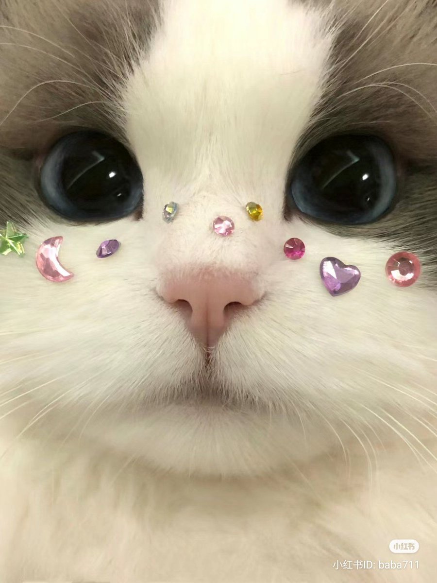 Aesthetics tweet media