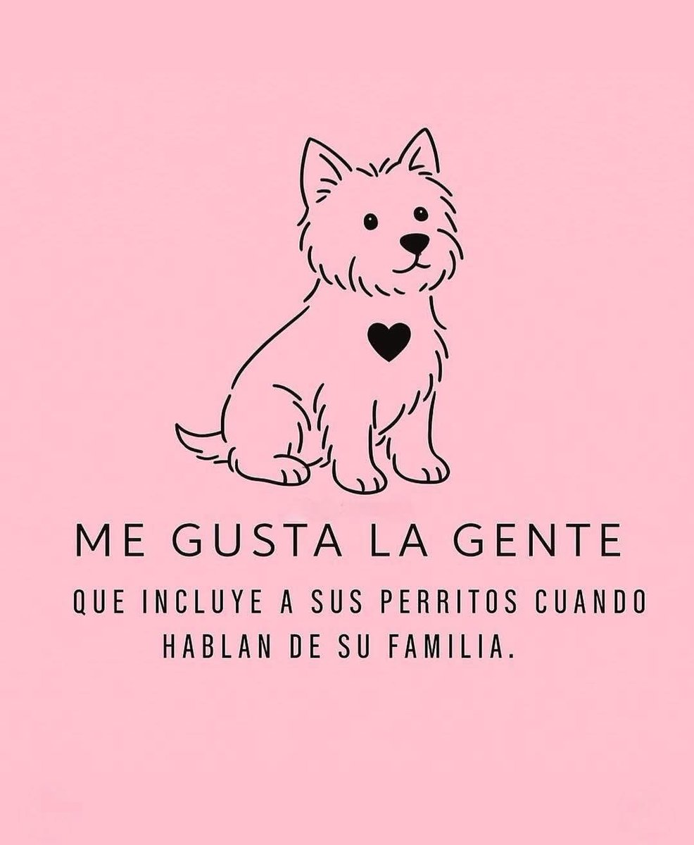 DiloConPerritos's tweet image. 