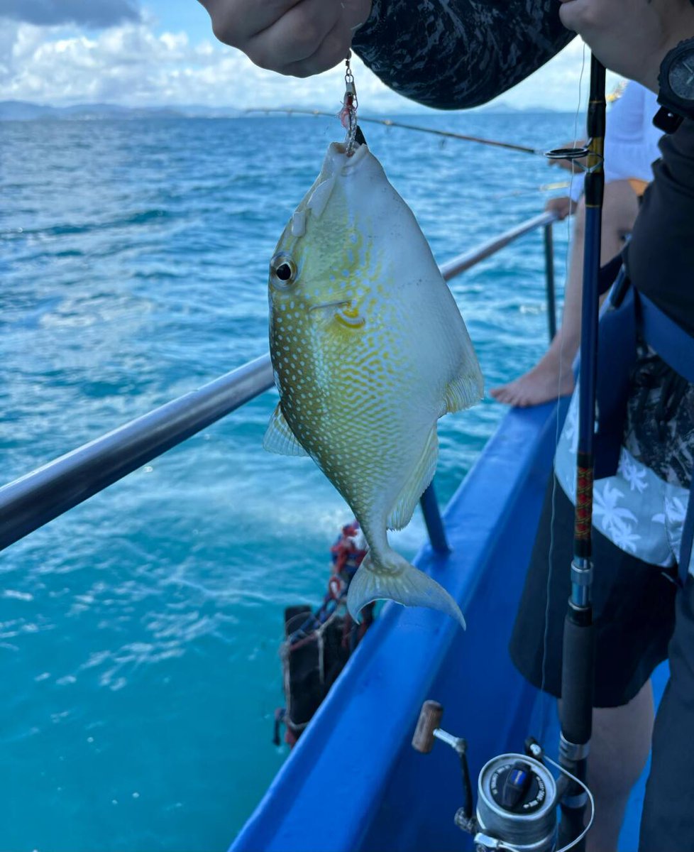 halay100's tweet image. The charm of fishing is that you never know what you will catch in the next second. Is it a surprise? Or a challenge? Only by experiencing it yourself can you understand the feeling of accelerated heartbeat.