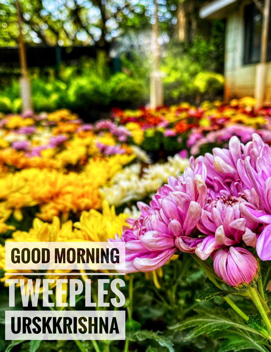 urskkrishna's tweet photo. #GoodMorning #Tweeples
#SundayMorning
#LazySunday
#Lazy
#FirstDayOfWeek https://t.co/28sfDhHJj2