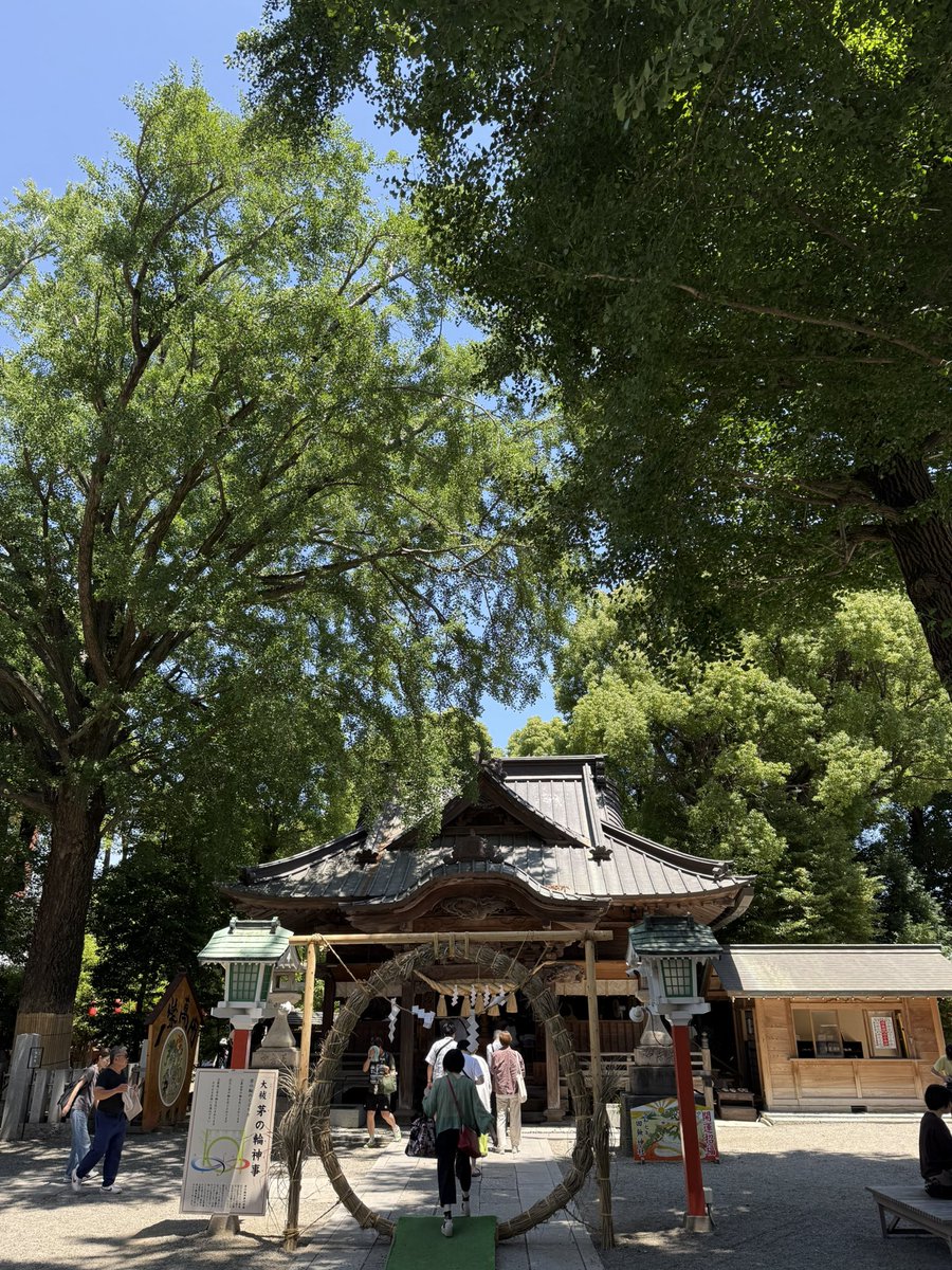 参る。