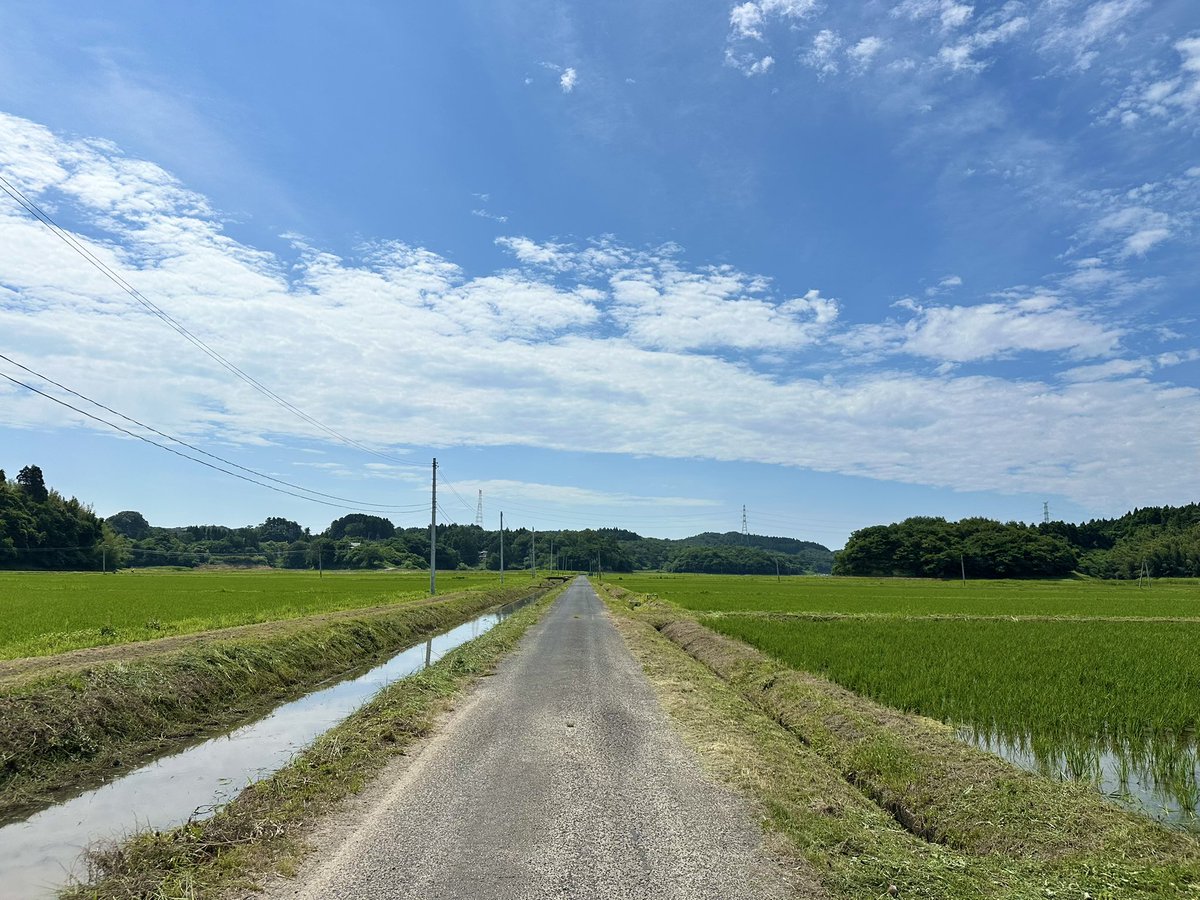 ryuzy's tweet photo. 少しでも脂肪を減らしたくて寝起きで近所をウォーキング。コンビニにアイスを徒歩で買いに行ける贅沢に憧れながら自然に囲まれた抜群のロケーションでウォーキングできる贅沢に感謝。道路には蛇が干からびてる。ヒュー・ジャックマンを意識してヒゲを伸ばしたら丸山ゴンザレス。熱中症にご注意を。 https://t.co/9OxYzhB1wh