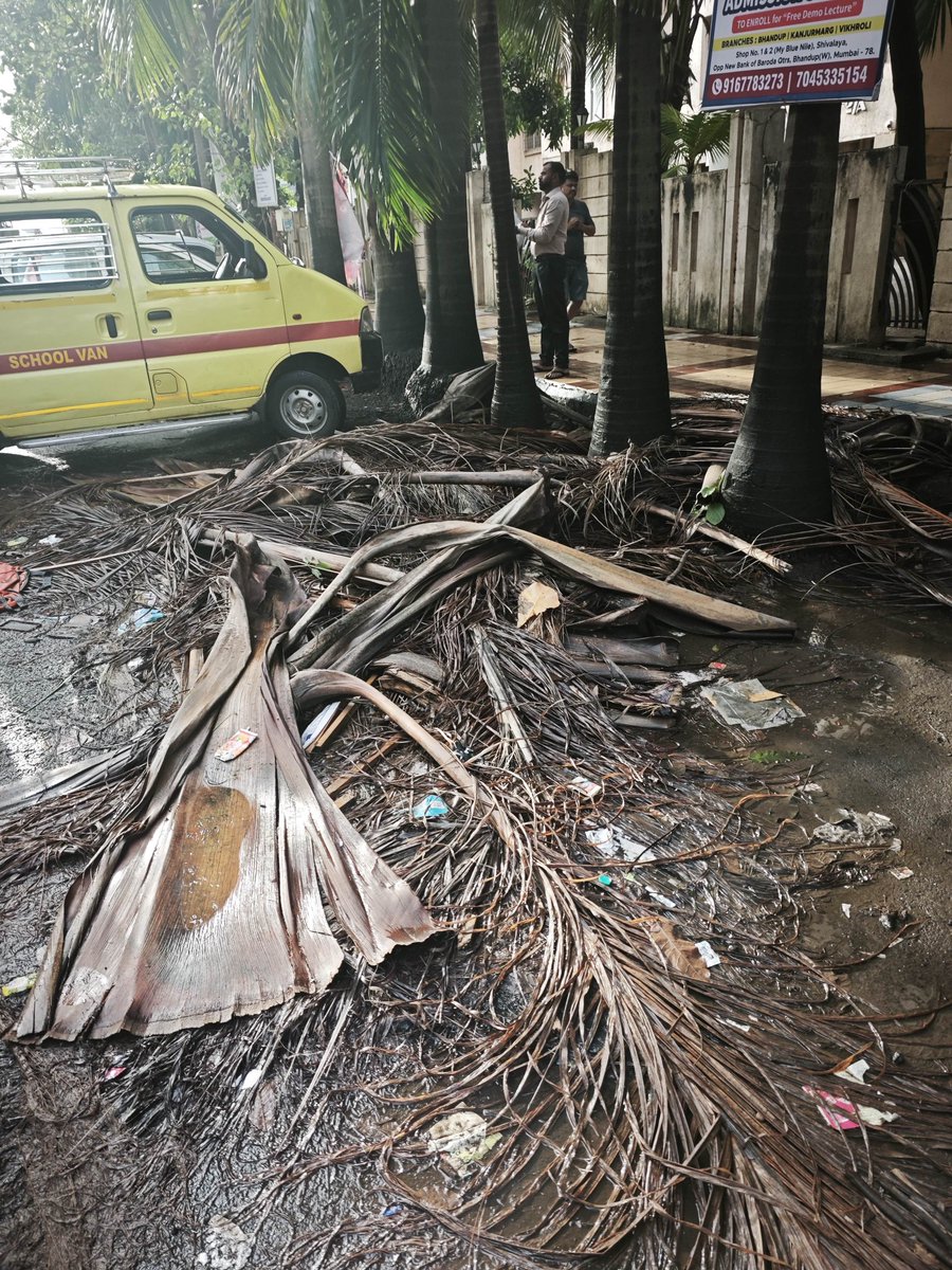 mestrivishal's tweet photo. @mybmc @mybmcWardS Still no action from @mybmc @mybmcWardS https://t.co/EjnatZ2ry4