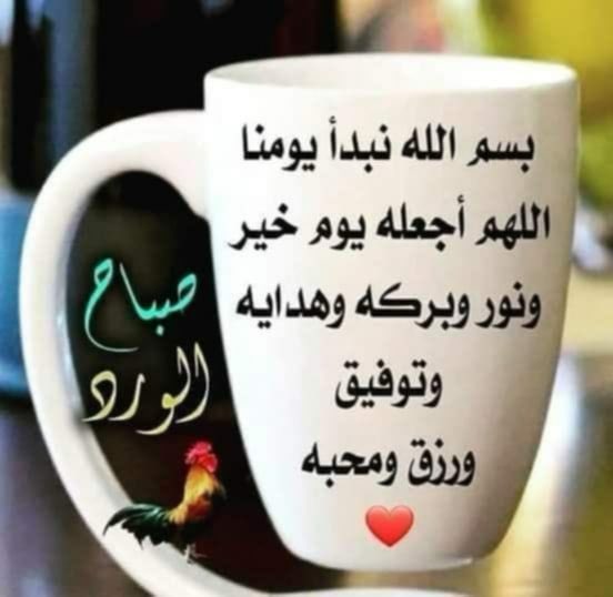 ابتسم فقد ابتدأَ يومٌ جديدٌ مِن عمرِك☺️
 تَفائل بما تُحب أن يكون و فوِّض
 أمركَ للهِ دائماً😌

🌞صباحُ الخَير ثم عافيةً ويومٌ جَميل🌞