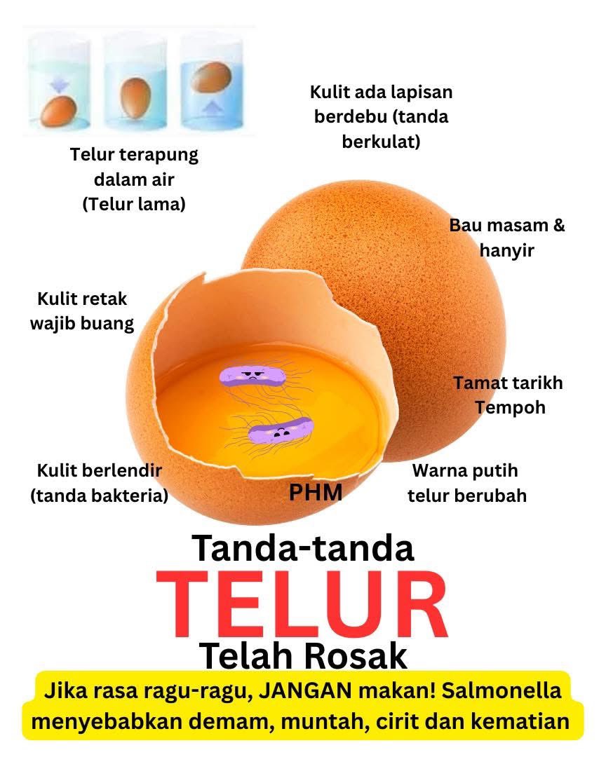 health_malaysia's tweet photo. Pagi-pagi nak buat sarapan, telur pula bau masam?

Hati-hati! Telur rosak boleh sebabkan keracunan makanan.
Kalau ada tanda ni, jangan guna:

🥚 Terapung dalam air
🥚 Kulit berlendir / retak
🥚 Bau hanyir &amp; masam
🥚 Warna putih berubah

Thread. https://t.co/eyjDnILHvG