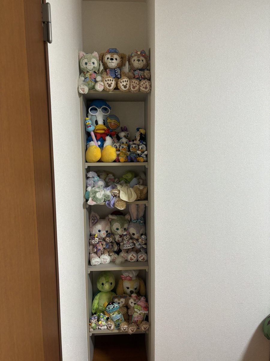 orangeconfit12's tweet photo. 引っ越し先の謎の窪みに棚があったのでとりあえずみっちみちに詰めといた https://t.co/N4TYXmrpAl