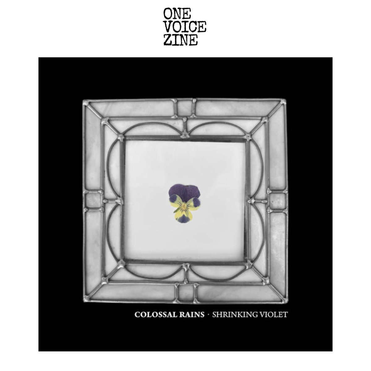 Colossal Rainsのデビュー作。BlacklistedとGridiron/Scarabのメンツで構成され、キーマンであるG. HirschのHarm WülfやBLのメランコリックとアグレッションを、バンド名の由来？のPaladice Lostの90年代初頭の雰囲気に融合させたUSならではのゴシック"ハードコア"スタイル。colossalrains.bandcamp.com/album/shrinkin…