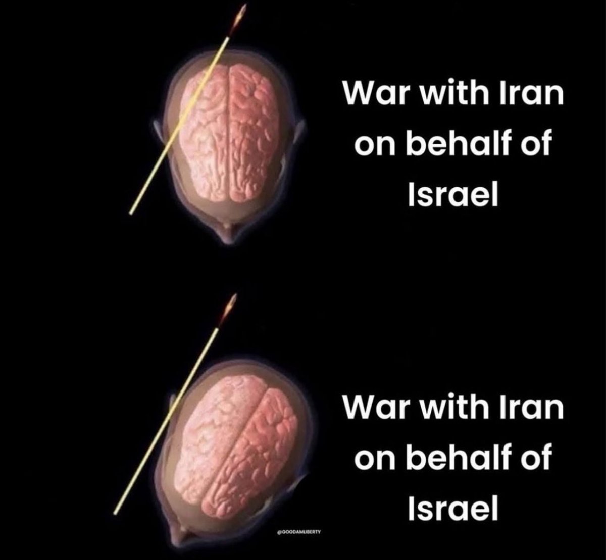 Canadian Patriot (@ppc4liberty) on Twitter photo 