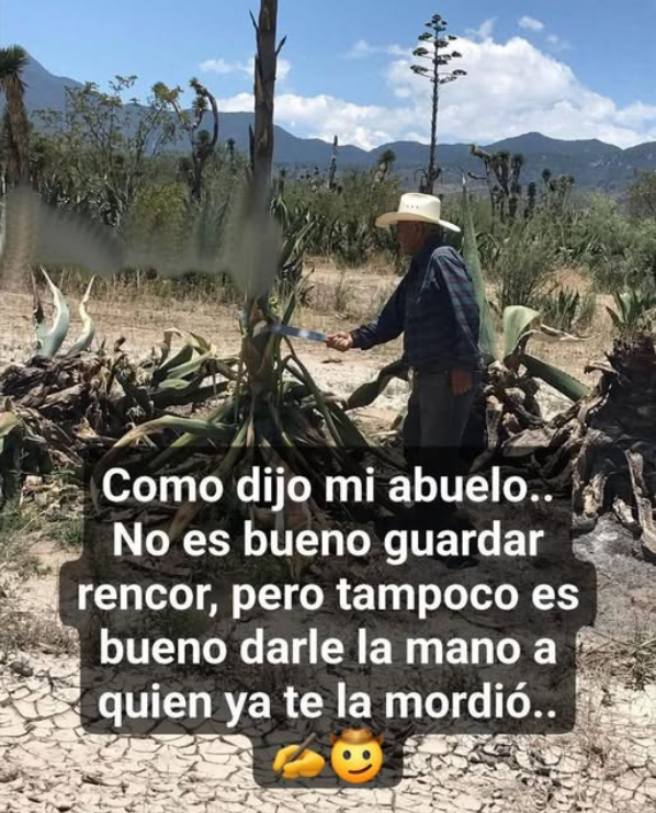 Sr. Jauregui tweet media