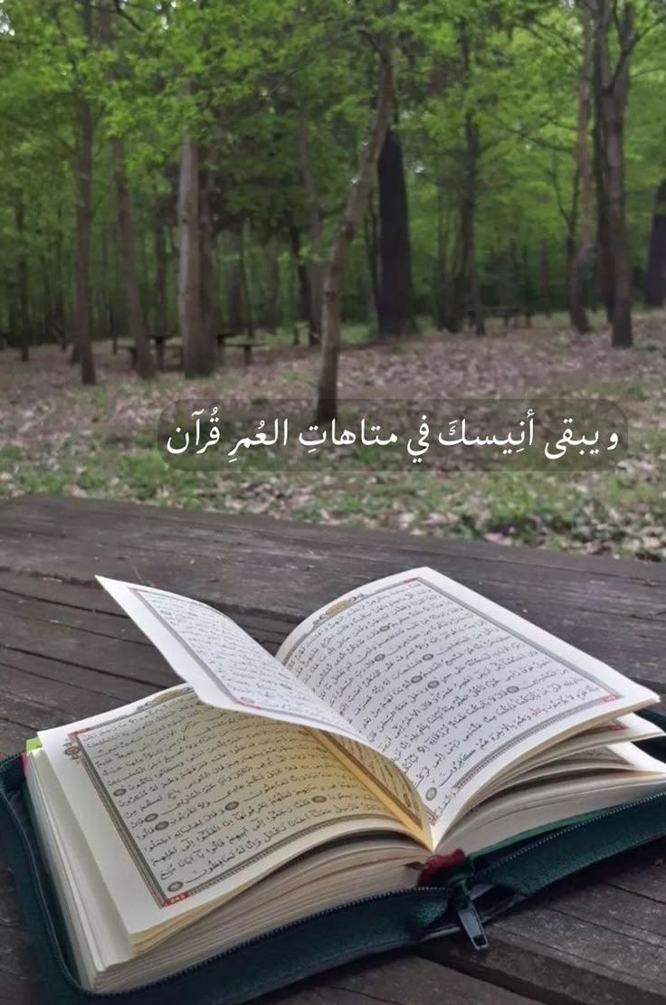 اطمئنّ مع كتاب الله صباحُكَ أجمل✨

#خواطر_أيمن
