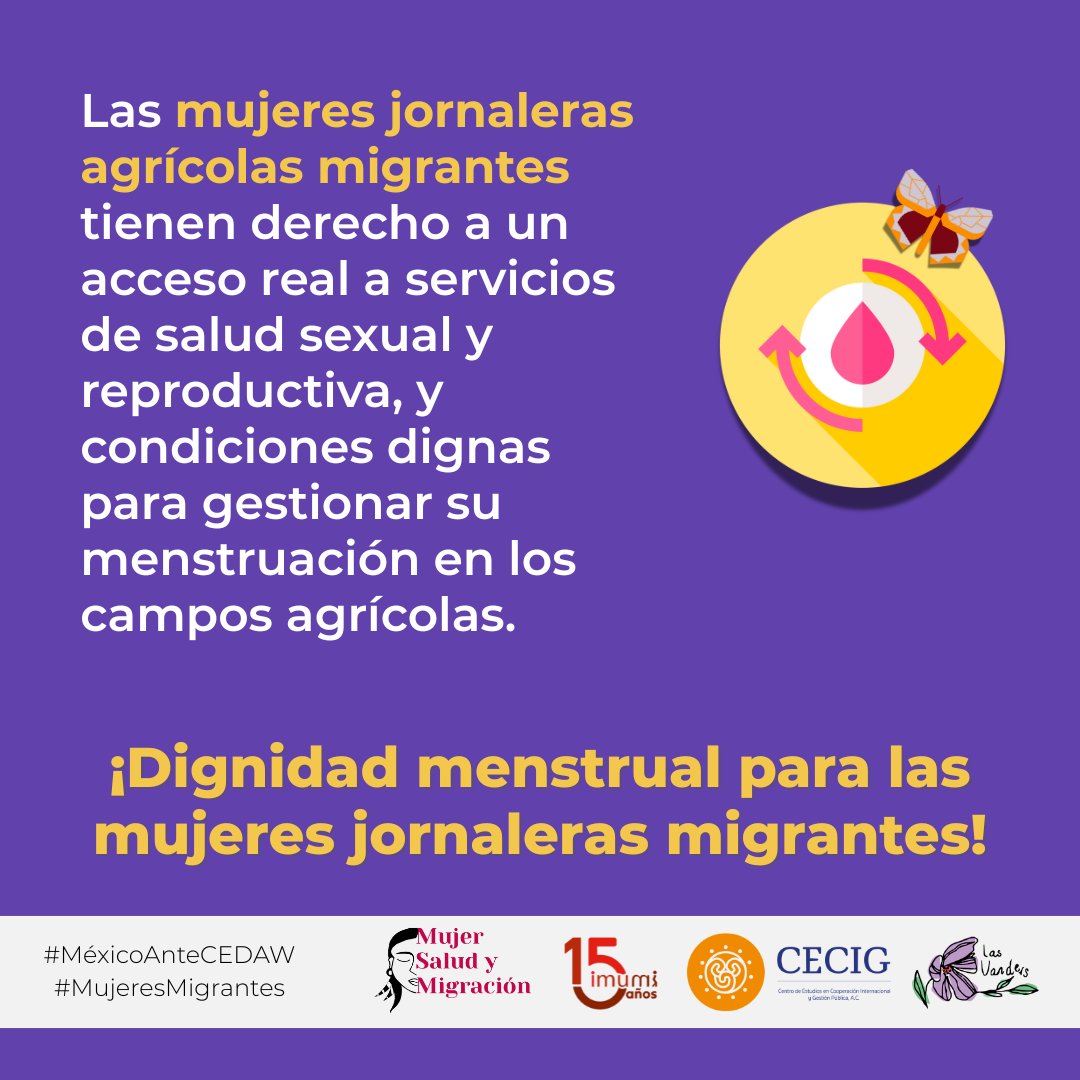 #MéxicoAnteCEDAW  #MujeresMigrantes 
Las trabajadoras agrícolas migrantes enfrentan explotación y desprotección:
🔻 Jornadas extensas
🔻 Bajos salarios
🔻 Cero acceso a servicios de cuidados
¡Trabajo digno para todas ya!