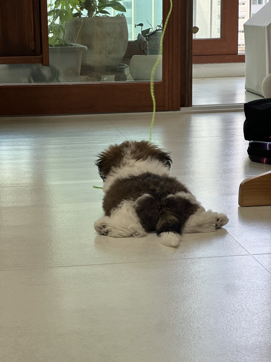 진짜 너 무 귀여워