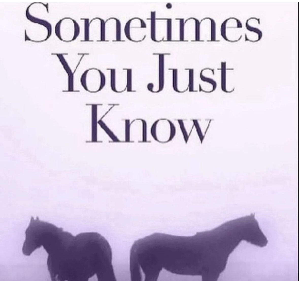 horse (@horseimage) on Twitter photo 